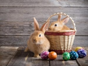 Easter - Hoppy Easter - Terradyne Country Club